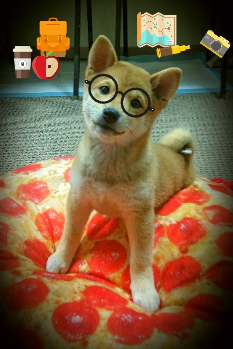 “农村青少年足球普及工程稳步推进,惠及边远地区”,青少年足球普及知识