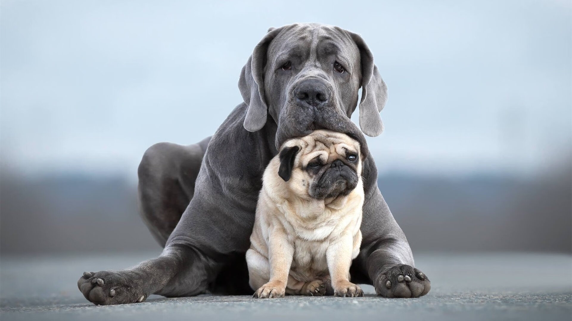 Bsports在线平台-《电竞IP孵化：打造长青作品的关键路径》，电竞ip衍生品