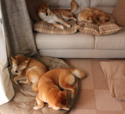 【银光闪闪】The Seattle Mariners' Julio Rodriguez热血表现引发热议,银光闪闪后面是什么