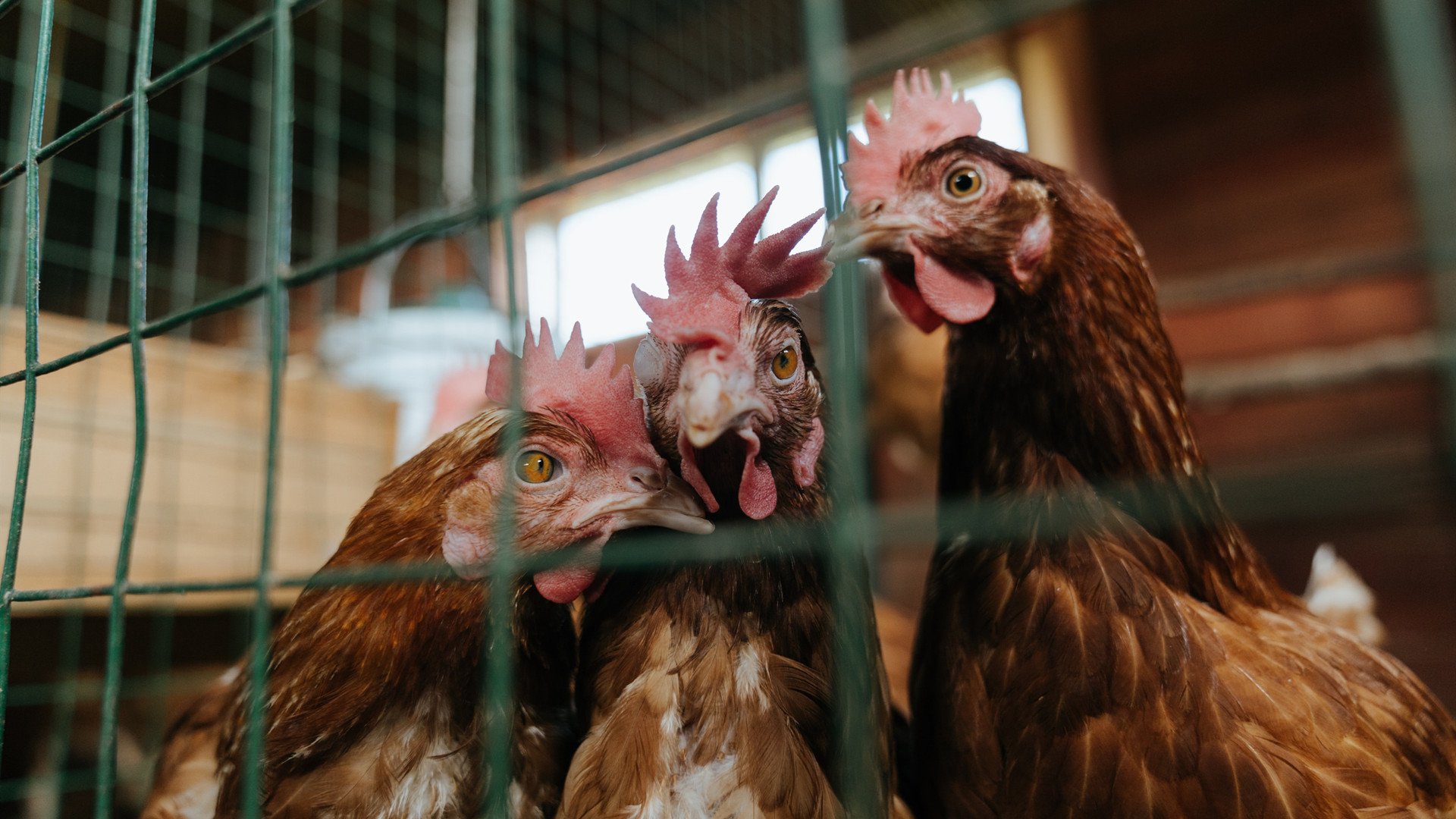 小镇特色水上漂流，挑战自然水域的趣味运动，水上漂流项目