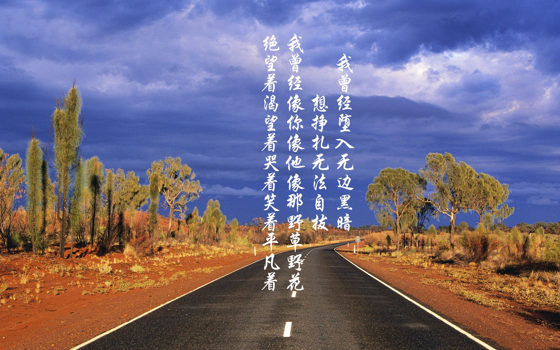 球员特写:细数联盟中的技术天才,球星技能