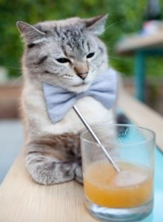 球员状态:谁能在季后赛中持续爆发?,季后赛最强球员