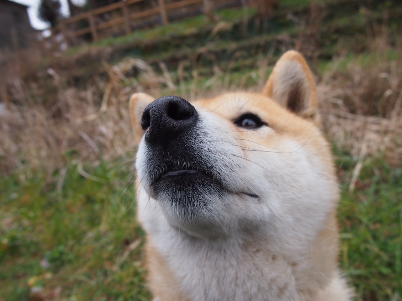 球员的成长支撑:青训体系中的“秘密武器”,青训球员标准