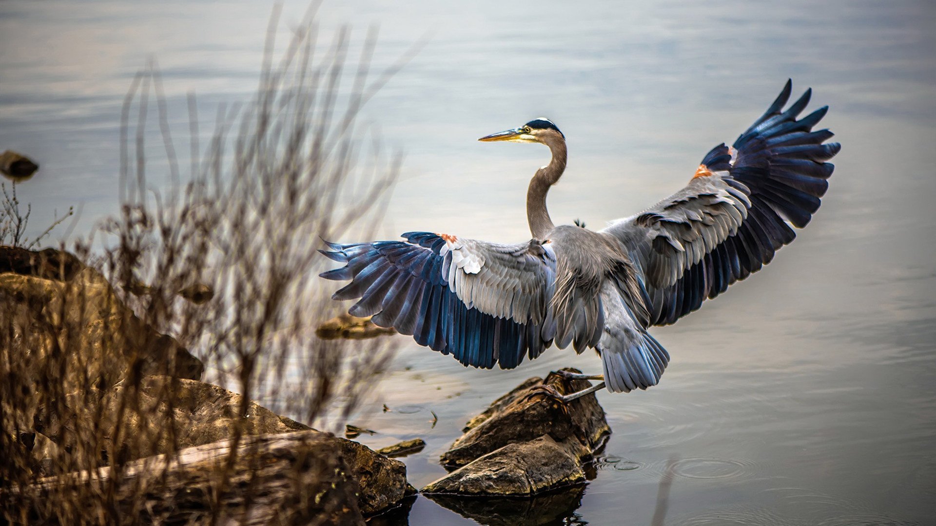 B体育网页版登录-英格兰打破质疑，奥运完成自我救赎，英格兰参加奥运会