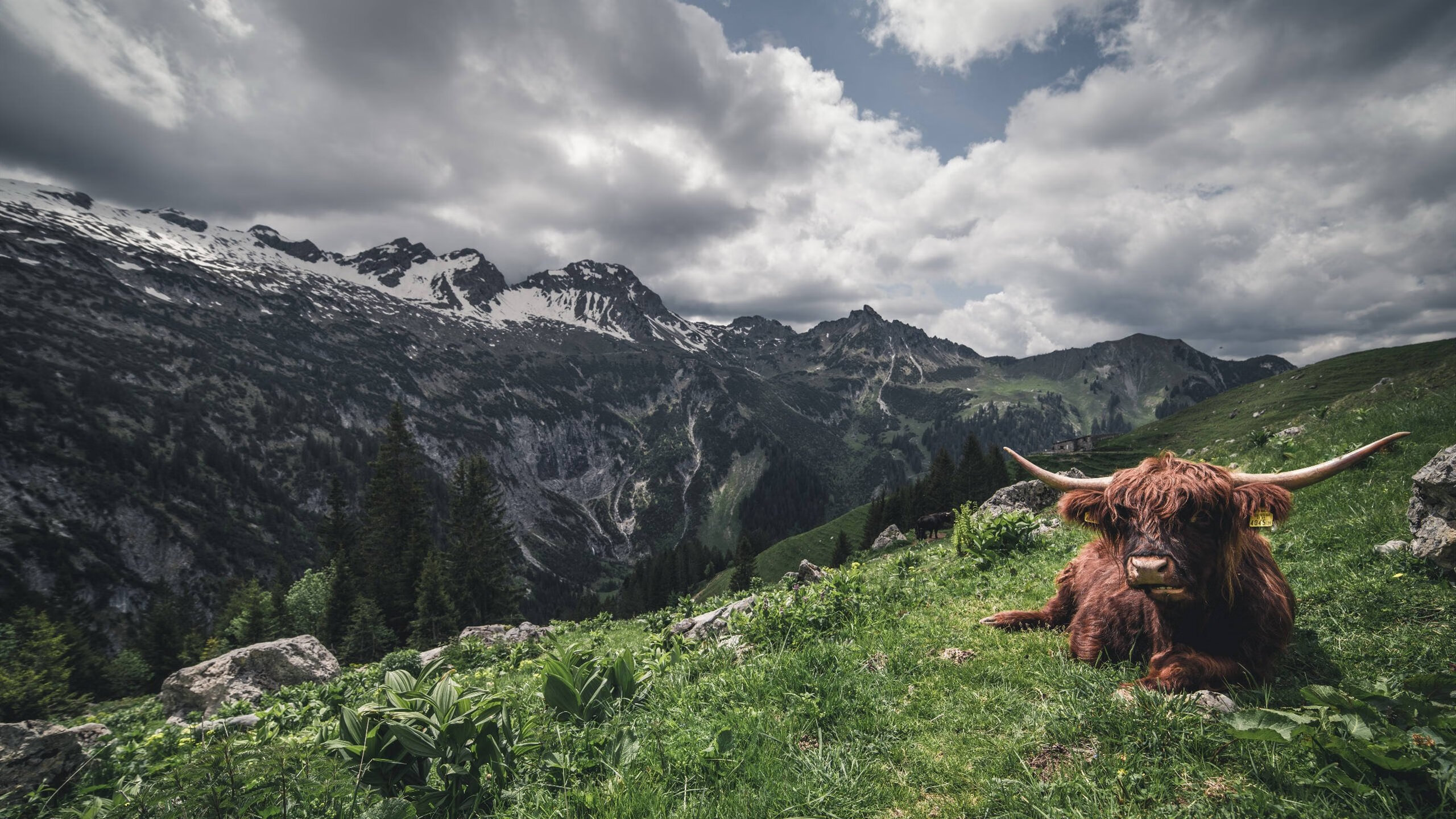 青少年篮球比赛线上线下联动，扩大赛事影响，青少年篮球赛的意义