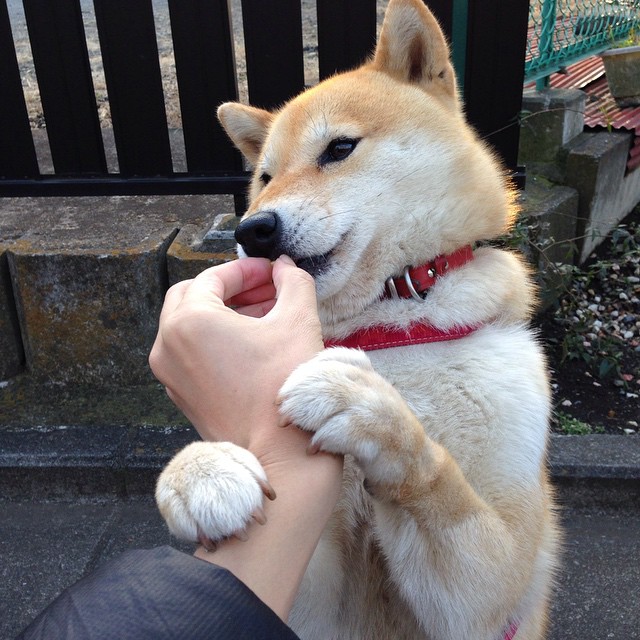 青少年篮球比赛配套培训课程全面开设，助力运动技能提升，青少年篮球培训课程安排