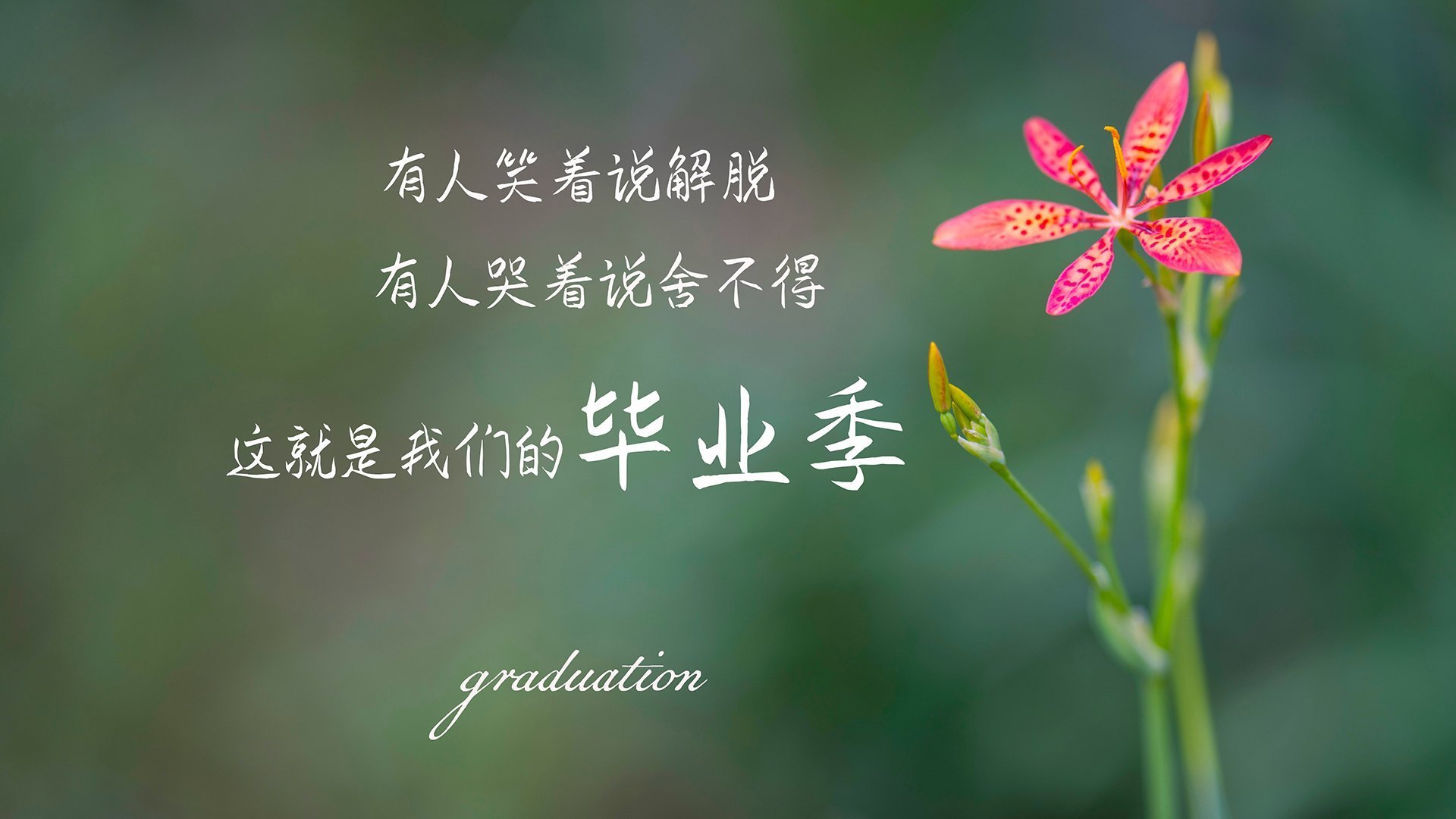 青少年篮球竞赛激发创造力，培养多样性运动能力，青少年篮球活动