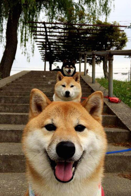 BSPORT APP-青少年篮球联赛全国巡回赛逐步推进，扩大影响力，全国青少年篮球俱乐部比赛