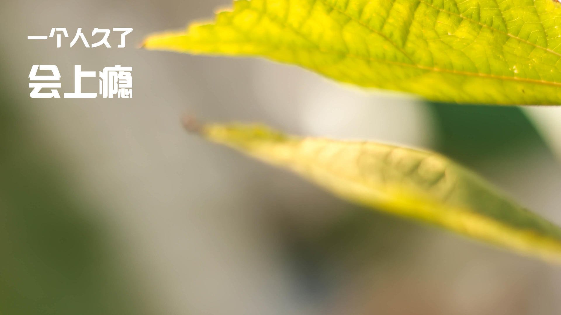 中国反曲弓男队在射箭世界杯上海站获得团体铜牌,反曲弓世界冠军