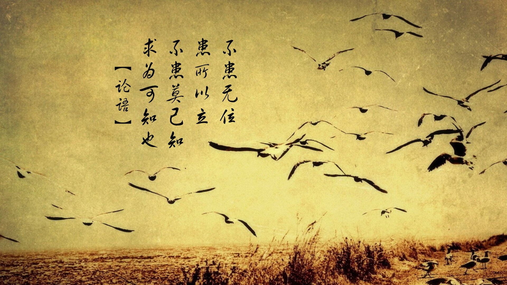 国足青训梯队建设提速,国足青训队名单