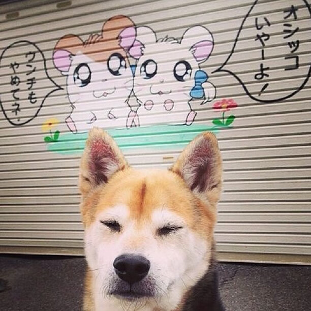 B体育亚洲官方网站-奇才队五大主力受伤！备战受阻！，奇才队成员