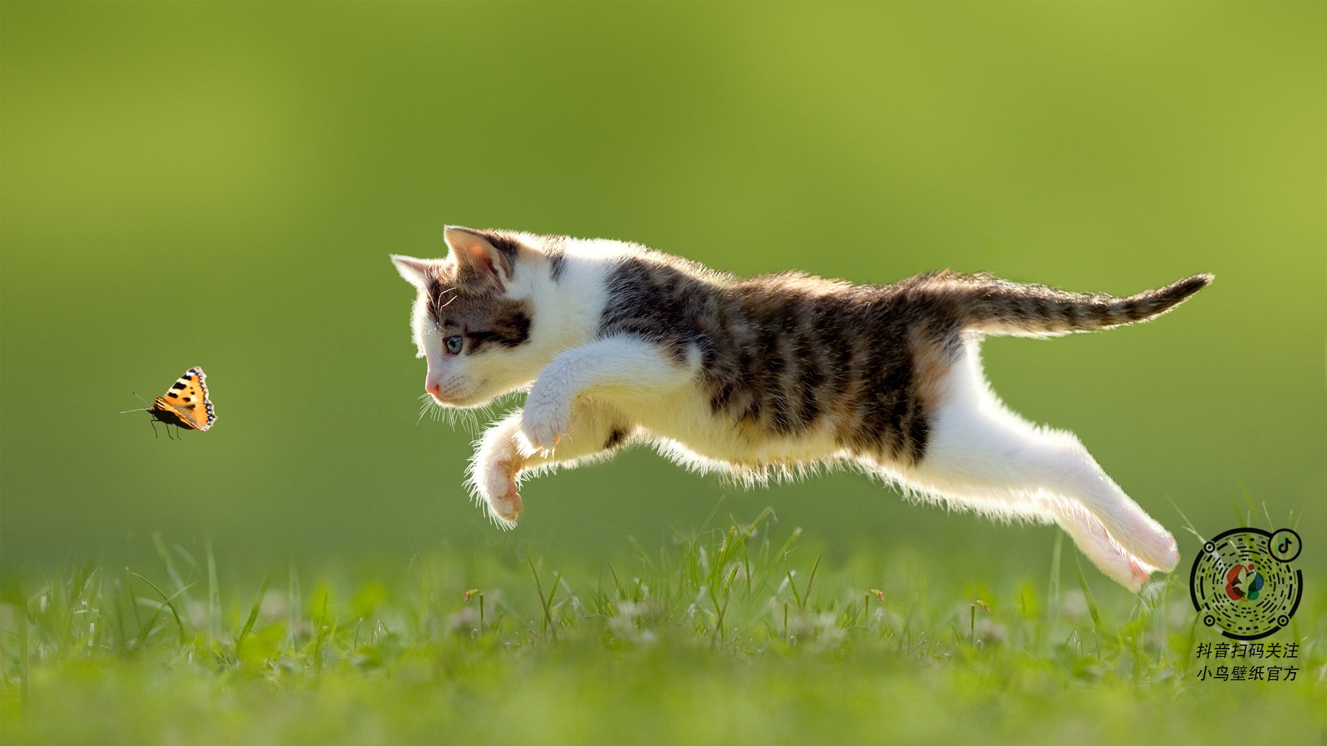 欧预赛充满悬念——各大豪强围绕冠军火拼，欧预赛2021