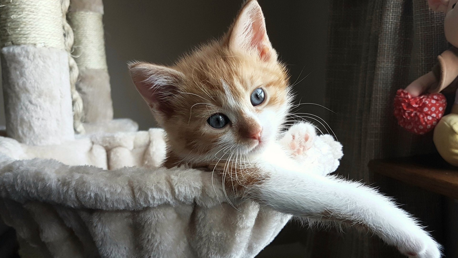 SPORTS-APP下载-波黑力挽狂澜逆转意大利，小组形势仍难预测，波黑对意大利历史战绩