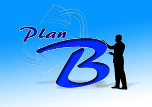 B体育中国官方平台-中国篮球职业俱乐部财务风险控制研究，篮球俱乐部企业组织结构图