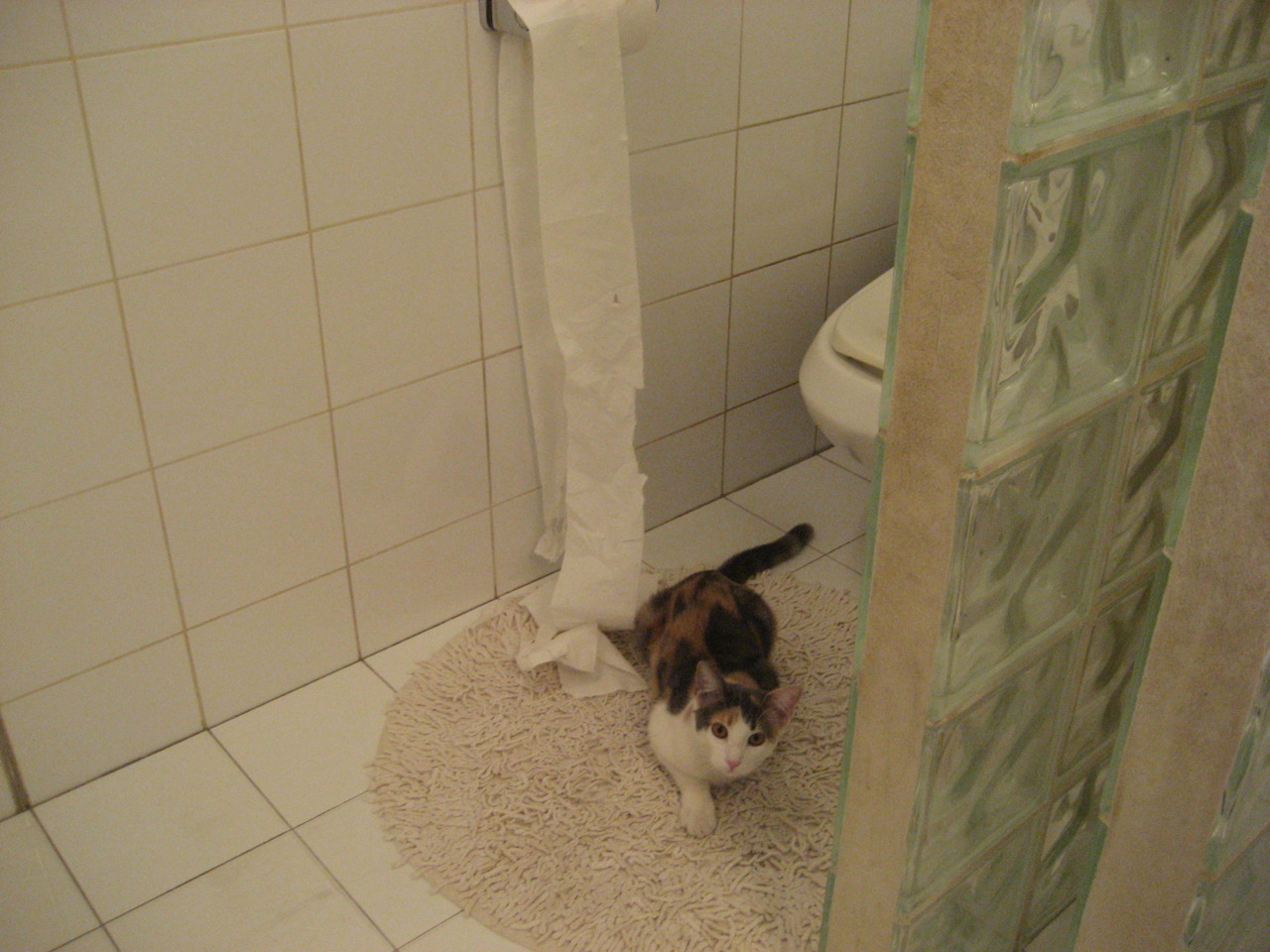 篮球专项技能动作标准化训练与教学方法创新,篮球动作技能理论知识