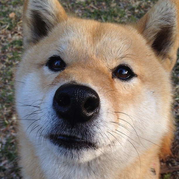 篮球运动员训练负荷科学管理研究，篮球课运动负荷