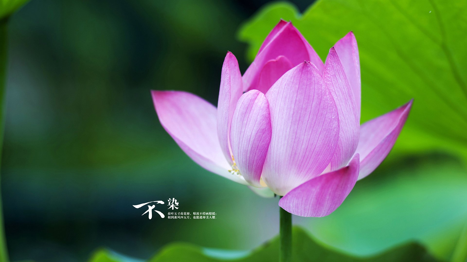 西甲球队结合情绪监测调整高强度比赛轮换，西甲 球队