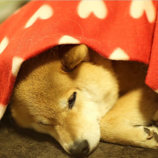 中国三人篮球男队积极完善技术动作，中国三人篮球男队战绩