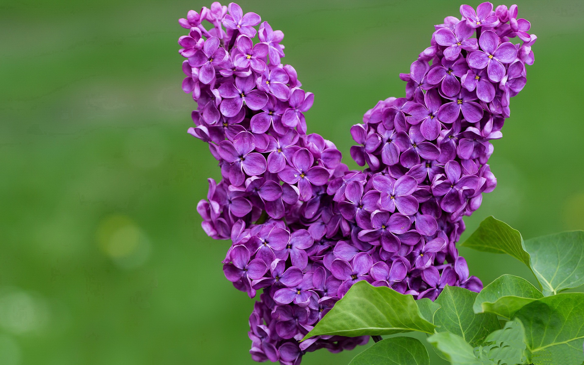 后防漏洞多次被对手利用,后防线是什么意思