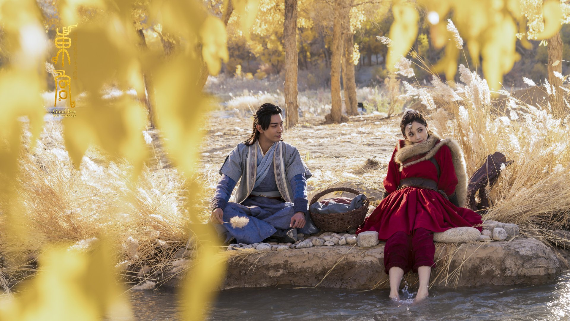 新加坡队赛制分析:团体赛制下的人员调配与技术创新,新加坡赛制实施细则