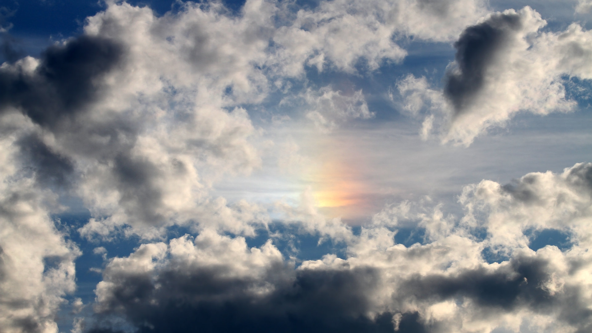 浙江雄狮攻守平衡成为稳定竞争者,宁波雄狮