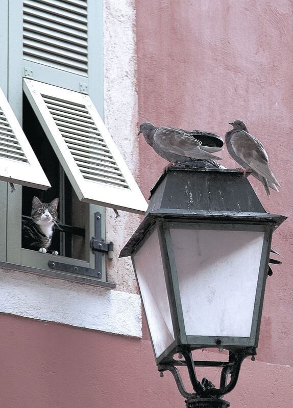 B体育(CHINA)官方网站-女子联赛试点引入战术暂停提高临场调整效率，女子资格赛