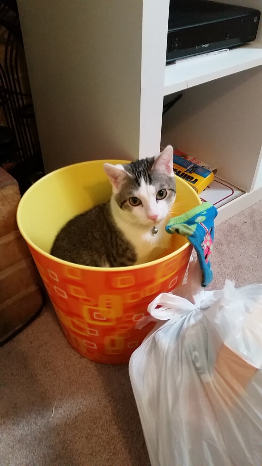 库里突破分球助攻数据持续提升，库里运球突破