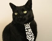 掘金季前评估报告显示大多数球员体能达标，掘金季前评估报告显示大多数球员体能达标是啥意思