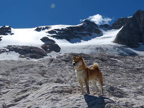Bsports在线平台-麦肯齐：凭借精准的踢球和灵活的突破，他成为全黑队进攻的核心