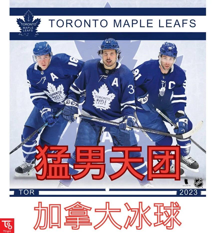 B体育:冰球世界杯,加拿大队实力超群 B体育:冰球世界杯,加拿大队实力超群