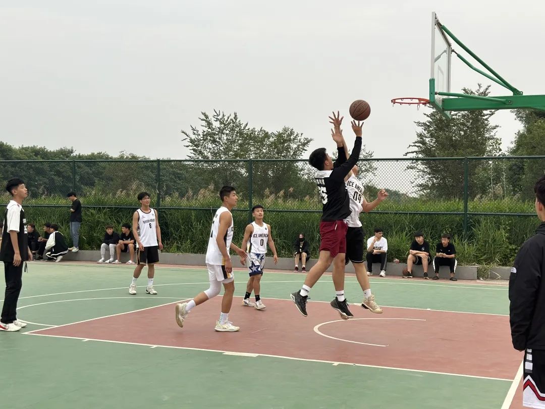 B体育:体育团队的建设，如何增强凝聚力？