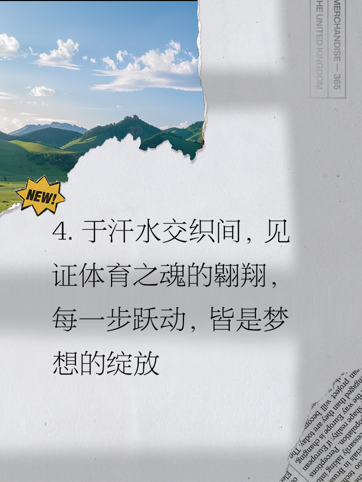 B体育:超越成绩:运动员的精神与价值观的简单介绍 B体育:超越成绩:运动员的精神与价值观的简单介绍